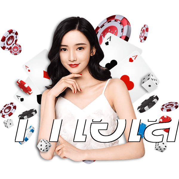11ไฮโล